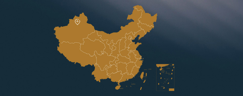 關(guān)于我們